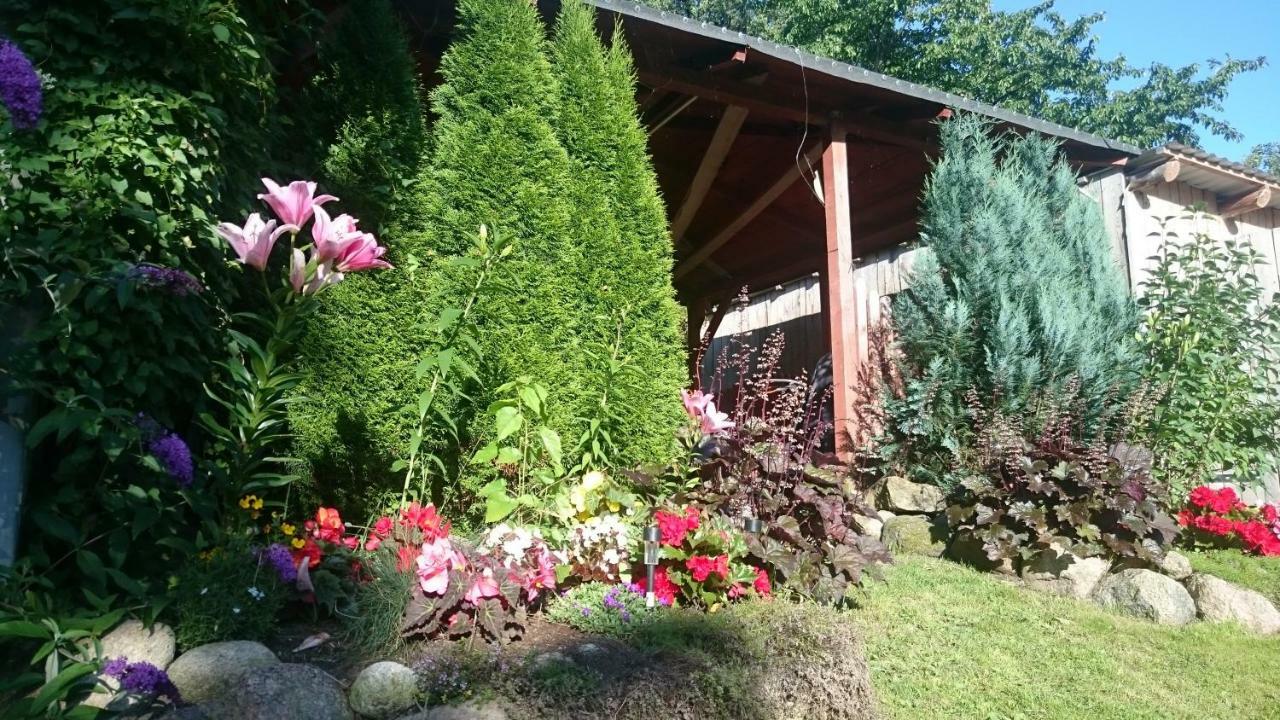 Agroturystyka "Jezioranka" Unichowo Extérieur photo